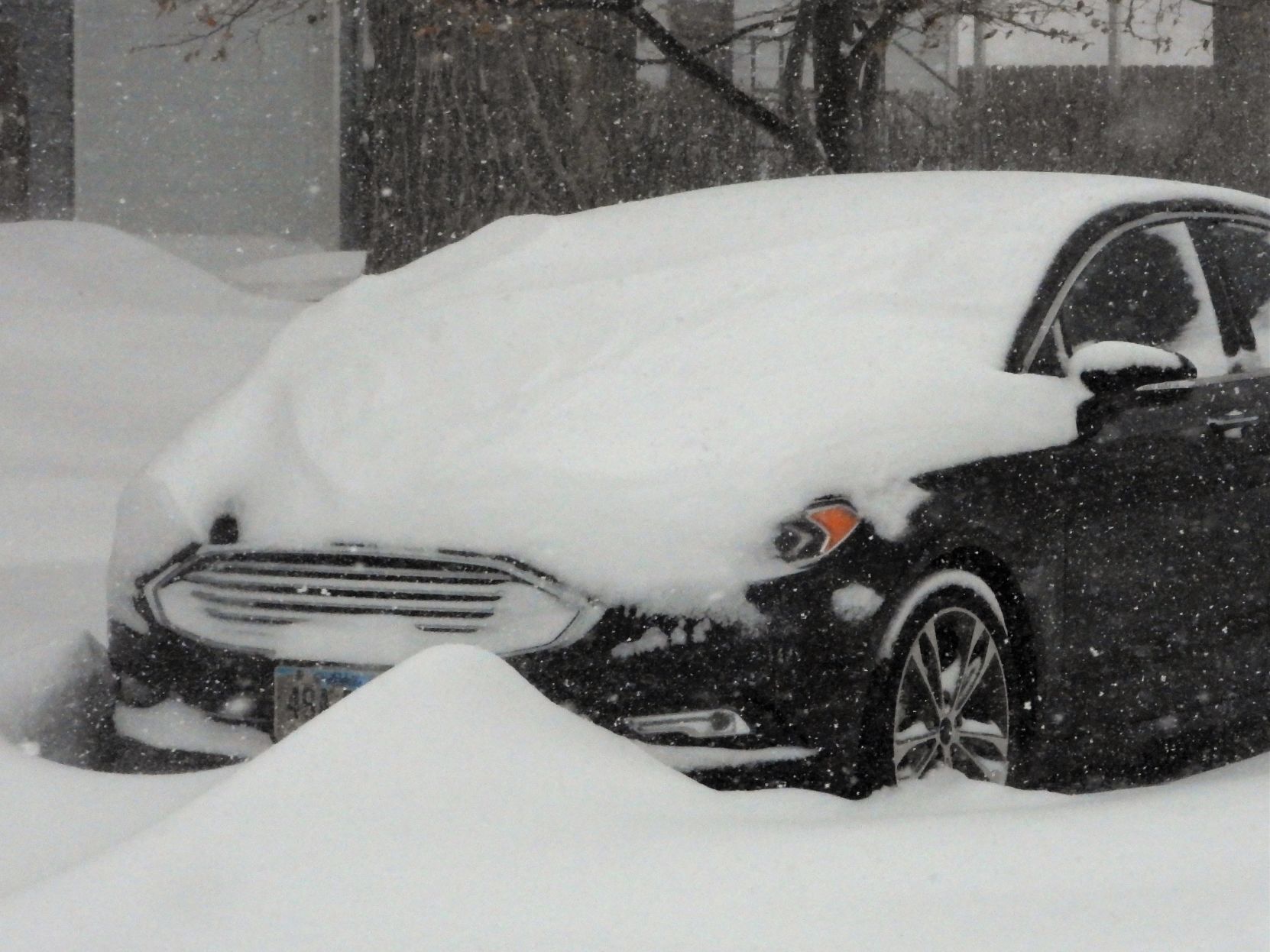 Black Hills Blizzard